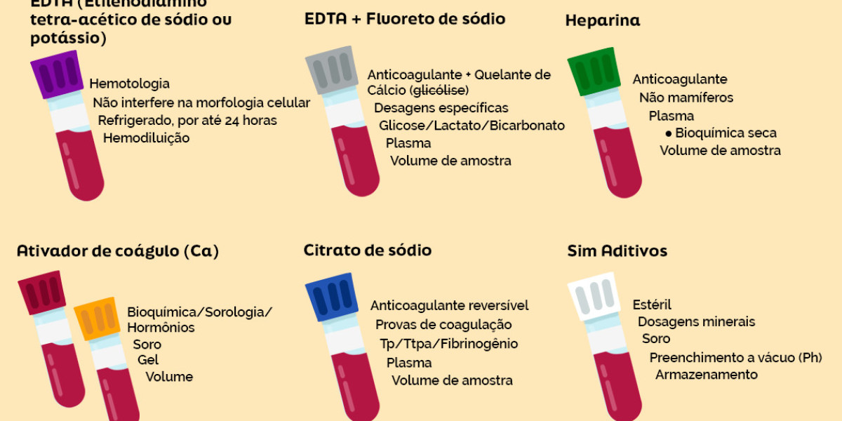 Entenda os Custos do Raio X para Gatos e Como Isso Pode Ajudar na Saúde do Seu Pet