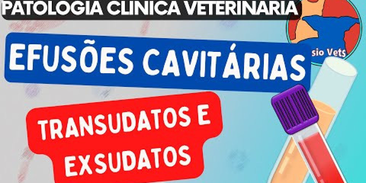 Descubra as Fascinantes Especialidades da Veterinária: Como Cada Profissional Contribui para a Saúde Animal