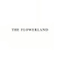 The Flower Land Profile Picture