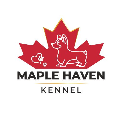 Maple haven Kennel Profile Picture