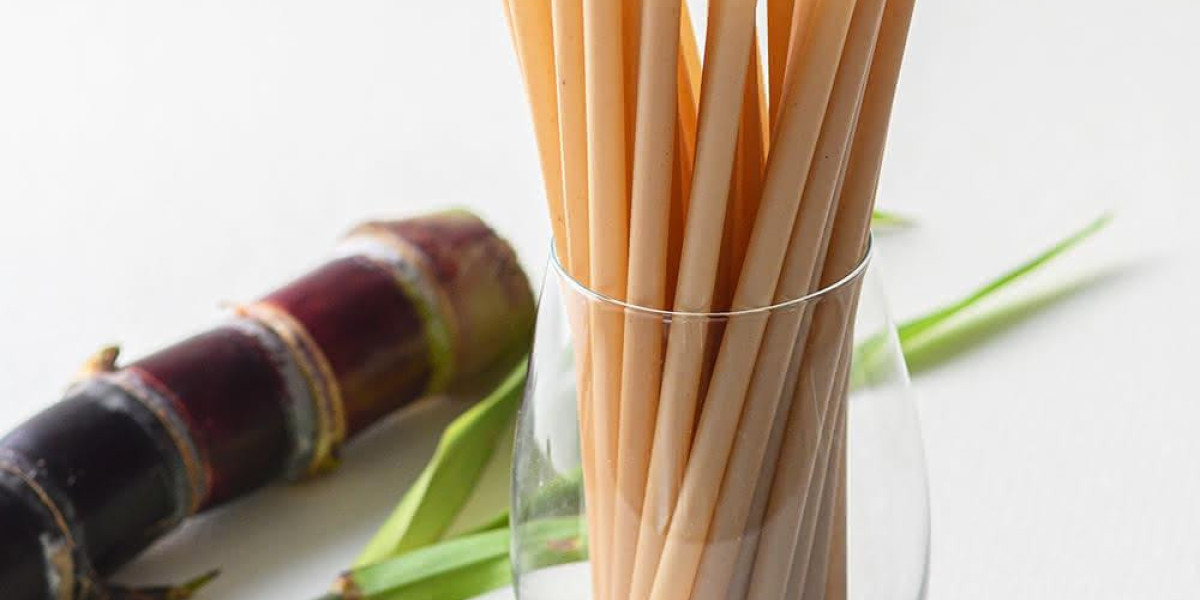 The Role of Innovation in Eco-Friendly Straw Manufactory Growth