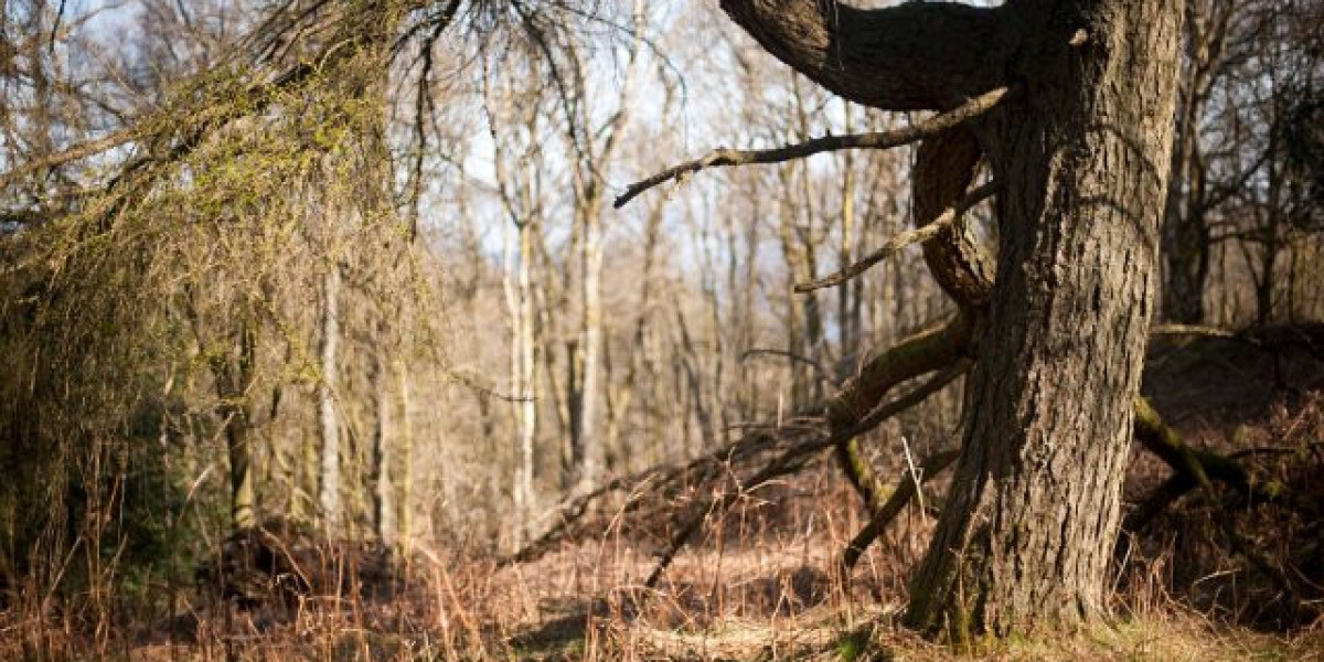 Norditropin Somatropin Injektion: Nebenwirkungen, Anwendungen, Dosierung, Wechselwirkungen und Warnhinweise