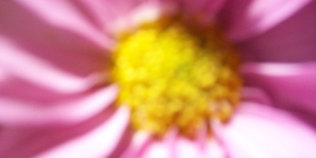 Meet the People Behind the Play