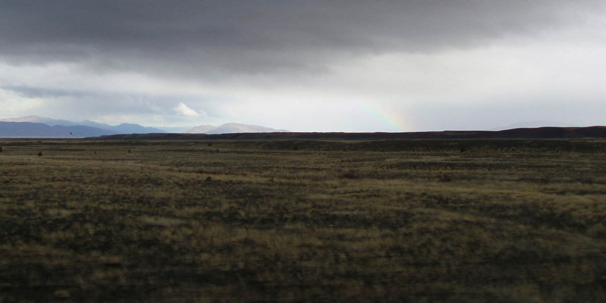 ASX closes up 0 2pc just sort of record high, Star Entertainment suspended after failing to report financials, REA slump