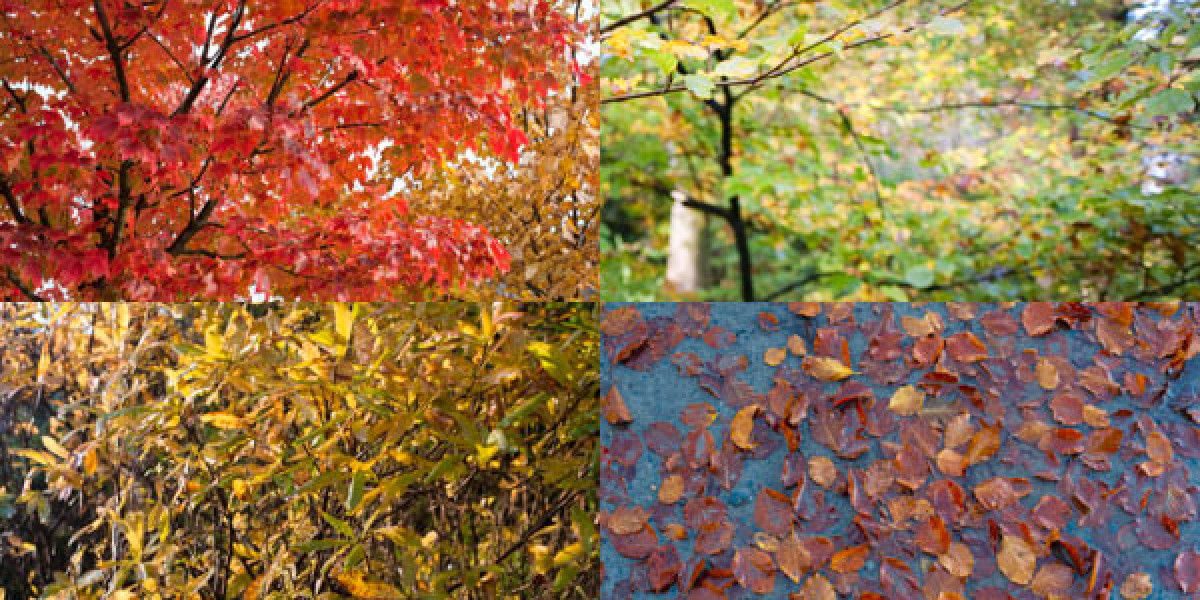 Neospin Review 2025 Expert & Player Reviews