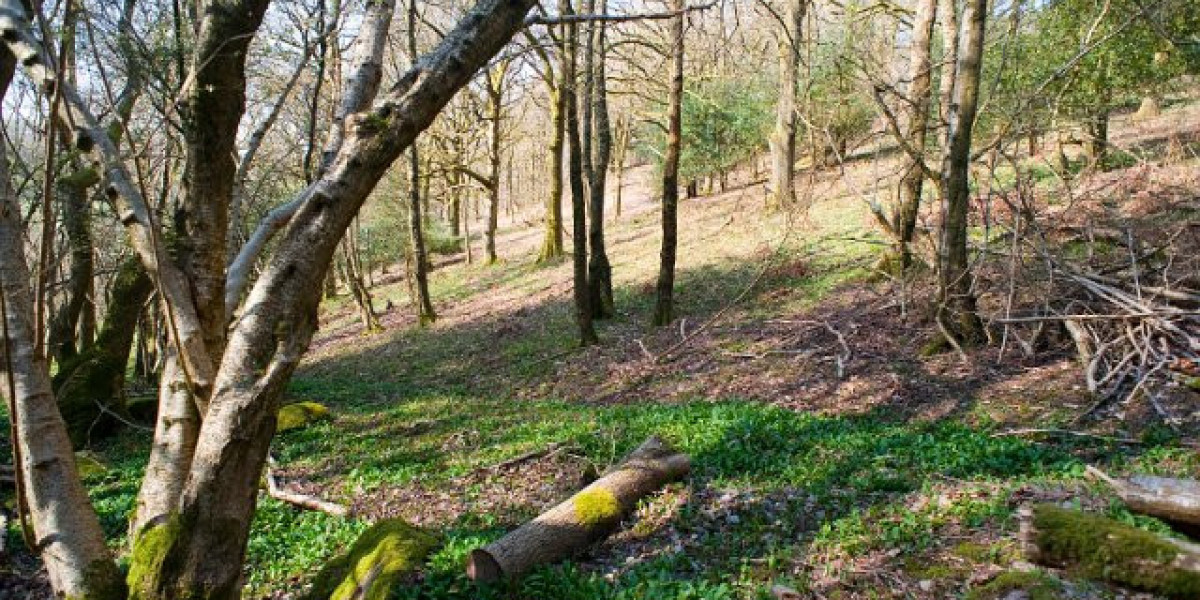 Meet the People Behind the Play