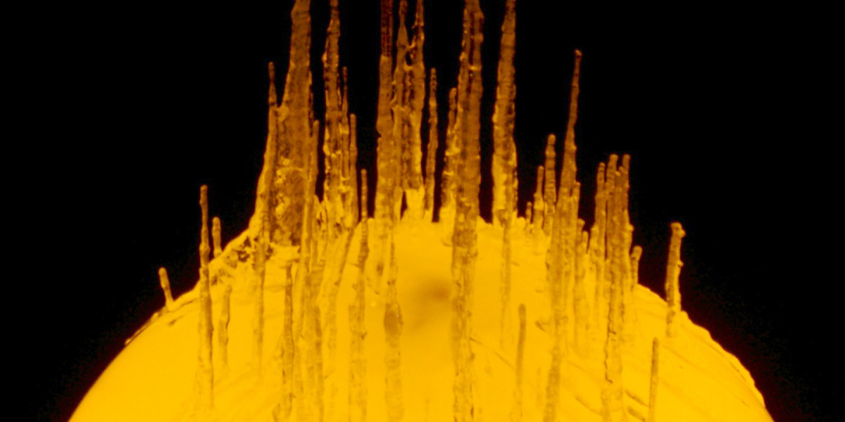 Best Online Casino Australia 2025 Top Australian Online Casinos