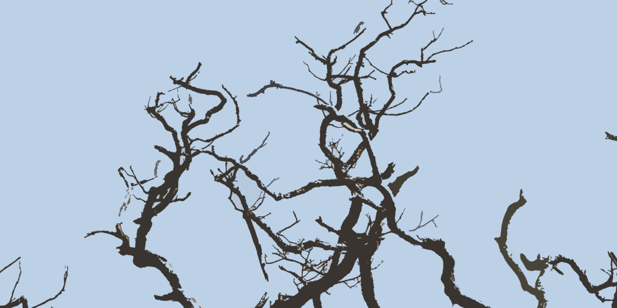 15 Best Online Casinos Australia 2025 Real Money Casino Sites