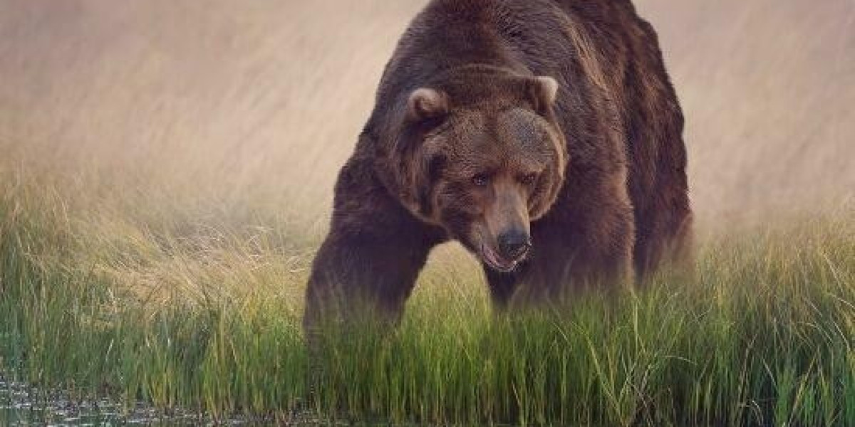 How To Withdraw From Bet9ja