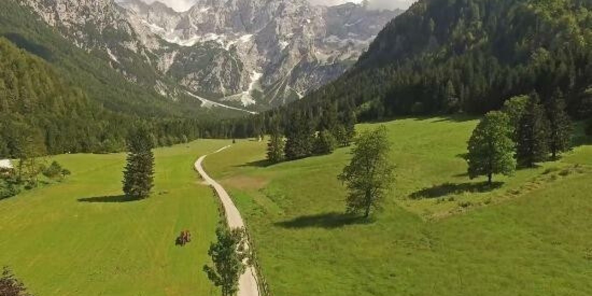 What is a Triple Internet Leases?